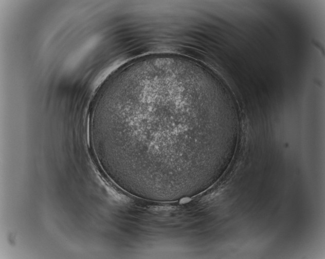 X0000103411127200809261637