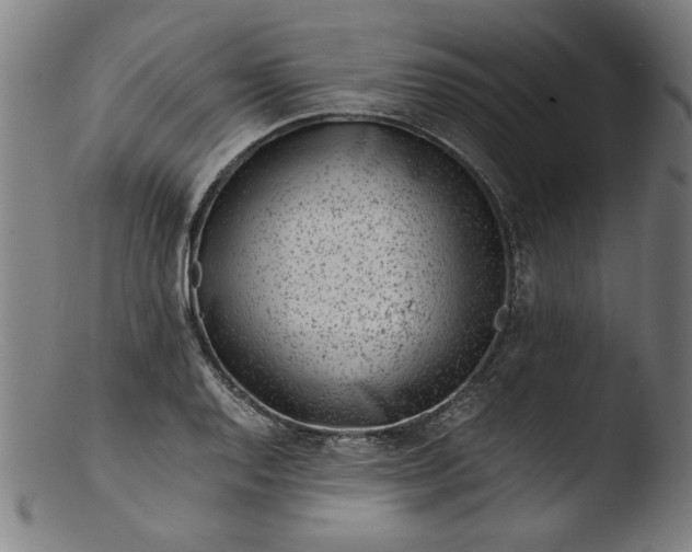 X0000103411128200809261637