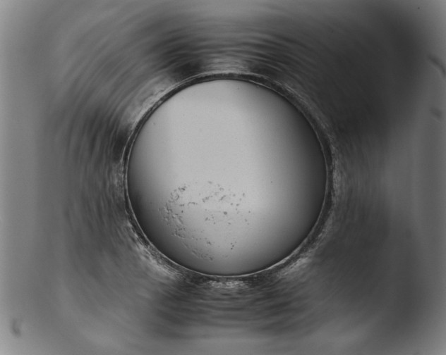 X0000103411129200809261637