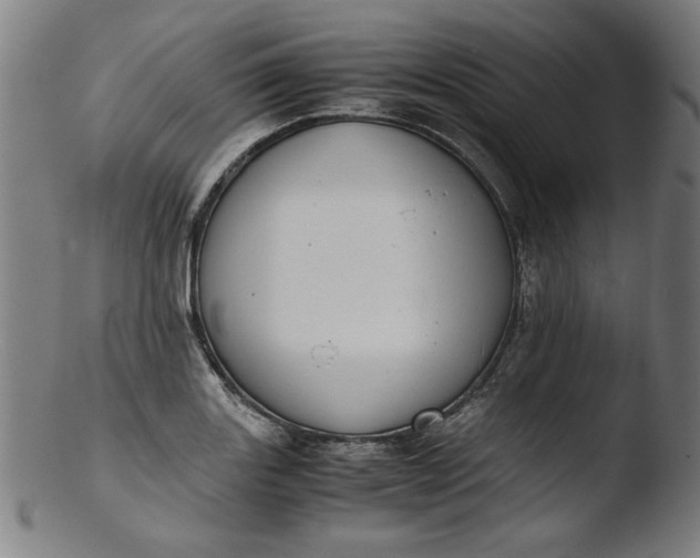 X0000103411131200809261637