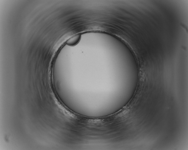 X0000103411135200809261637