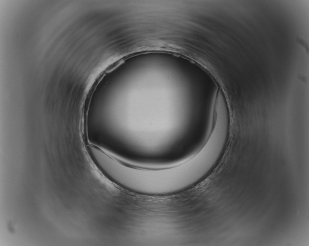 X0000103411136200809261637