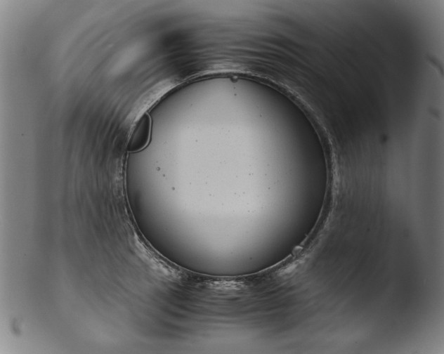 X0000103411137200809261637