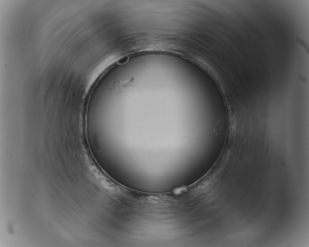 X0000103411138200809261637