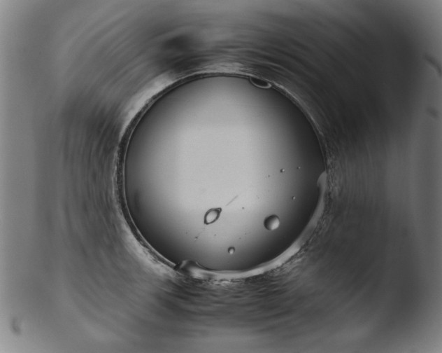 X0000103411139200809261637