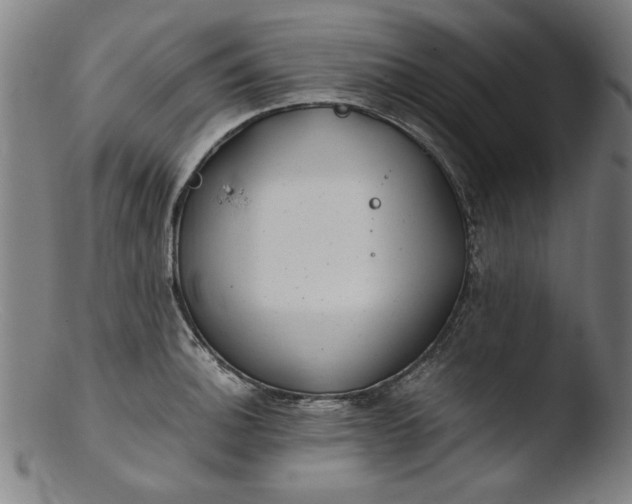 X0000103411140200809261637