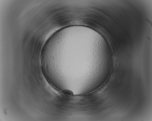 X0000103411141200809261637