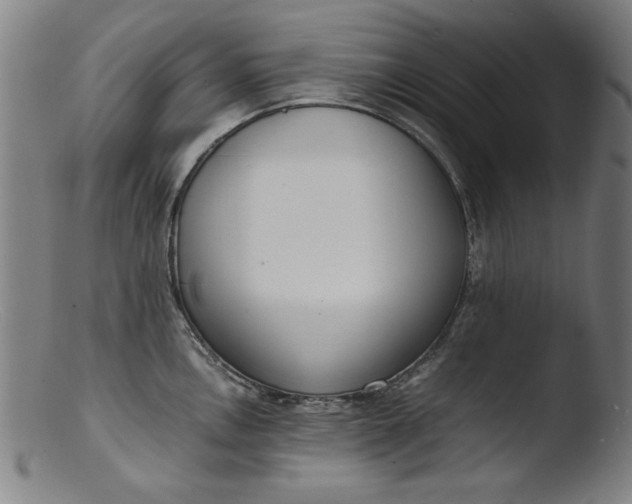 X0000103411146200809261637