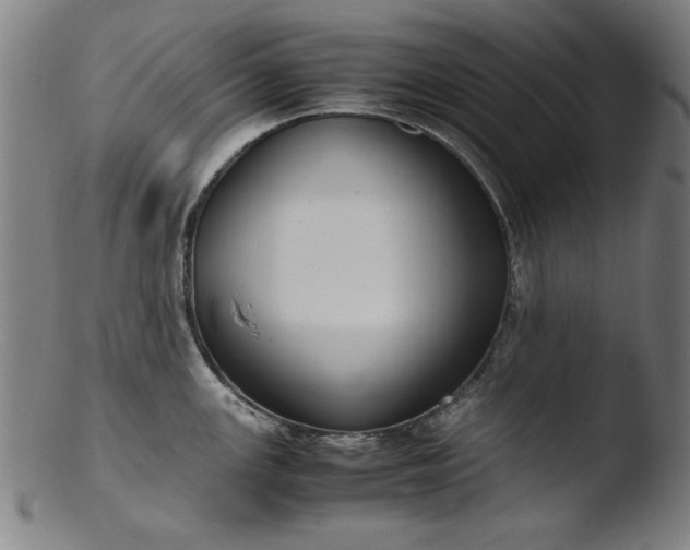 X0000103411147200809261637