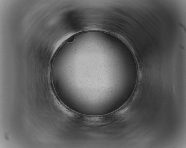 X0000103411149200809261637