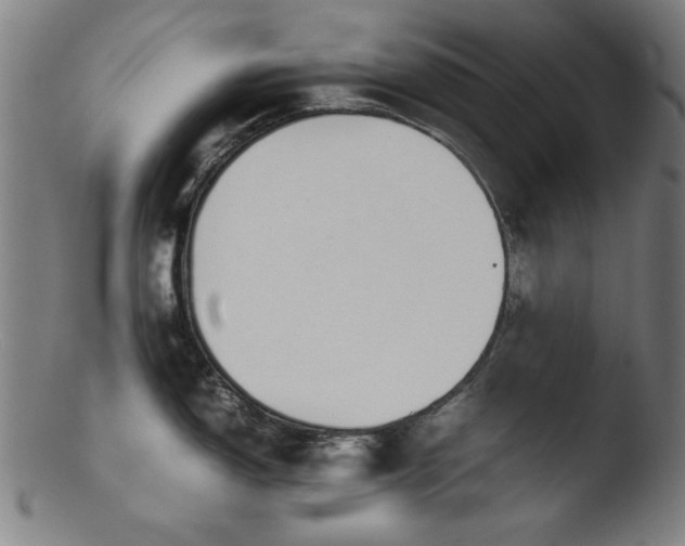 X0000103411150200809261637