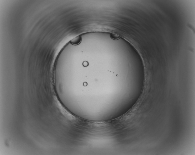 X0000103411152200809261637