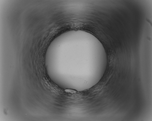 X0000103411153200809261637