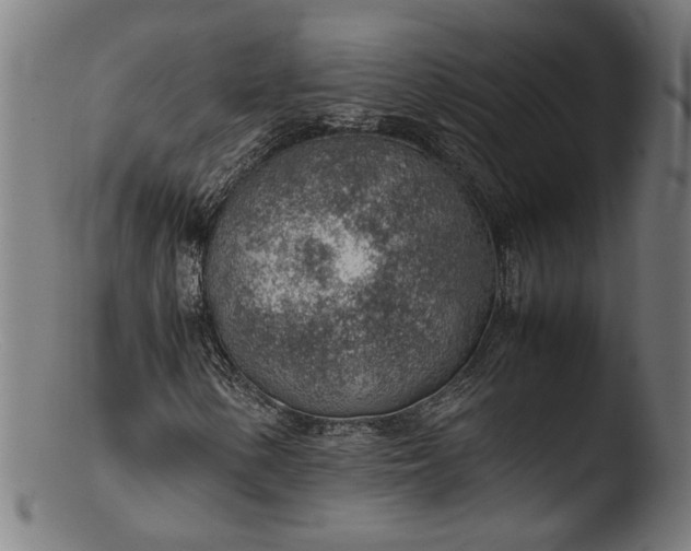 X0000103411154200809261637