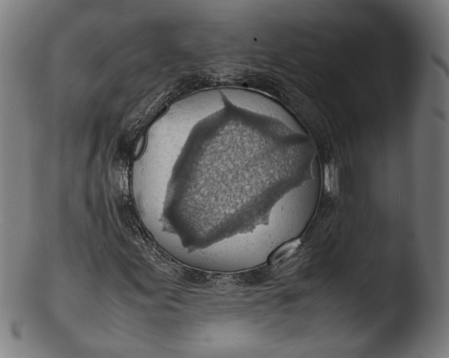 X0000103411155200809261637