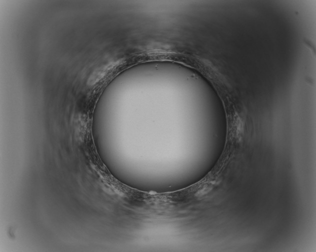 X0000103411157200809261637