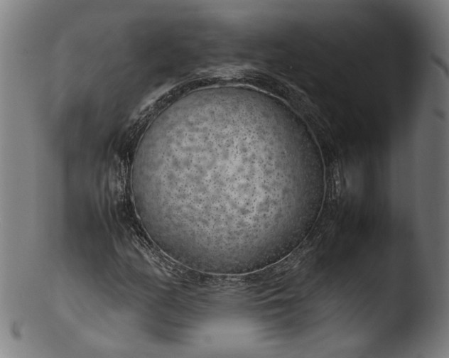 X0000103411158200809261637