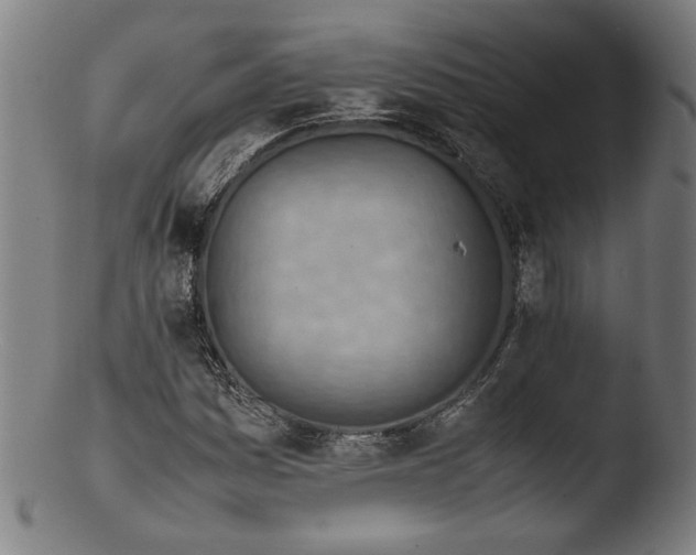 X0000103411161200809261637