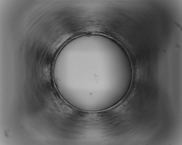 X0000103411162200809261637