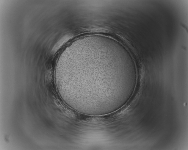 X0000103411163200809261637