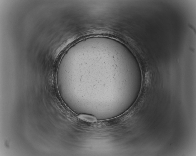 X0000103411165200809261637