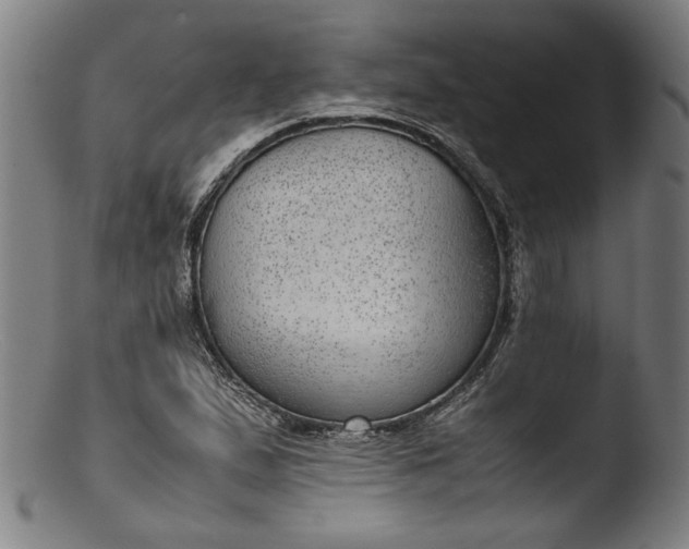 X0000103411167200809261637