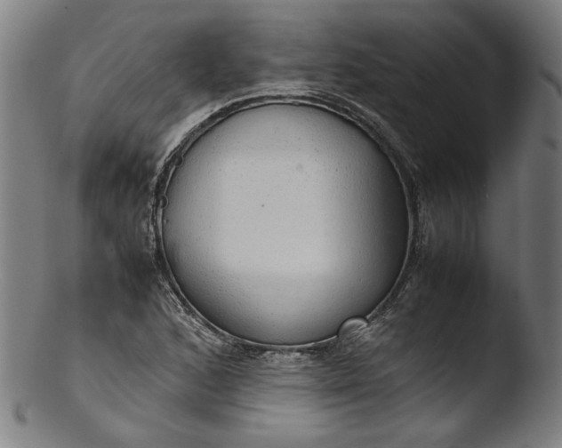 X0000103411168200809261637