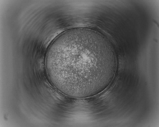 X0000103411170200809261637