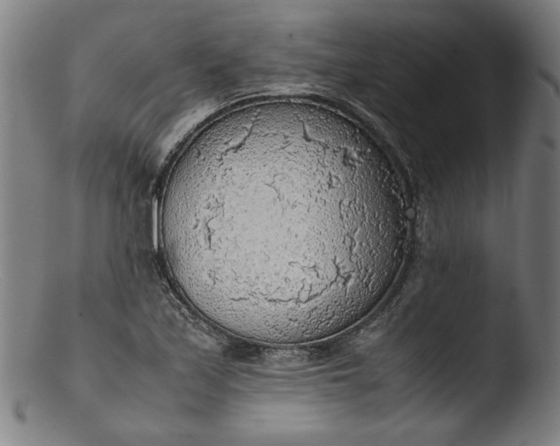 X0000103411171200809261637