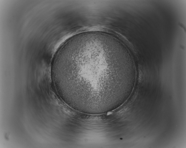 X0000103411174200809261637