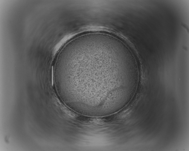 X0000103411175200809261637