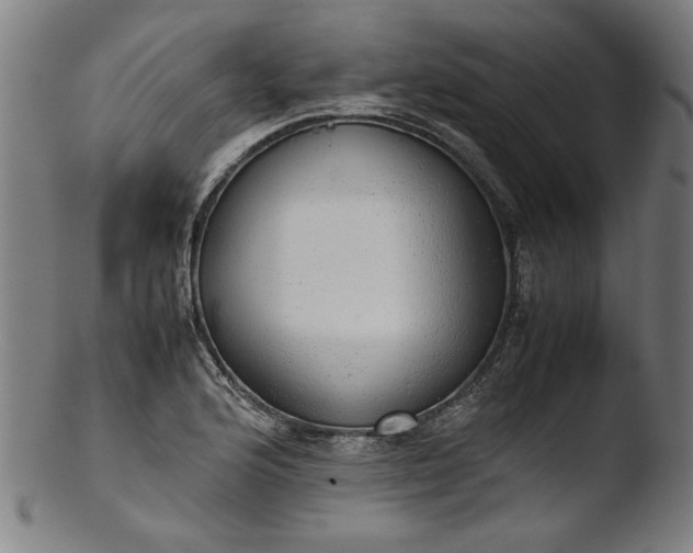 X0000103411176200809261637