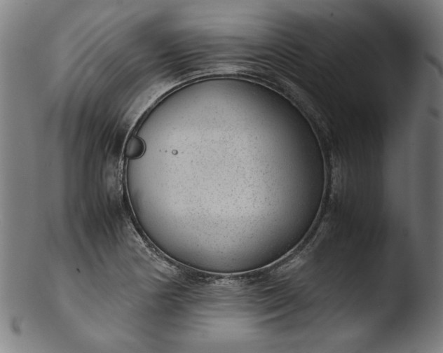 X0000103411178200809261636