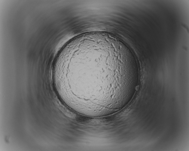 X0000103411179200809261636