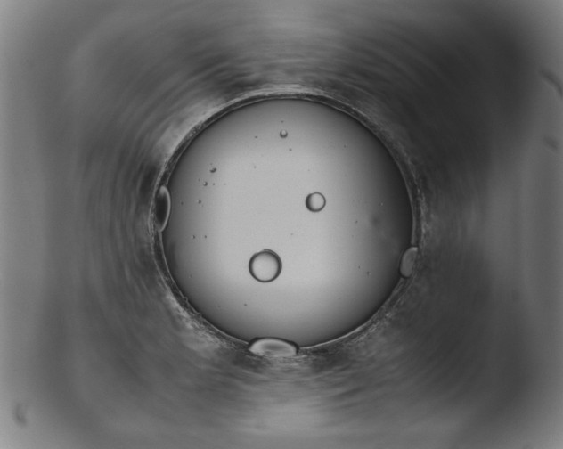 X0000103411181200809261636