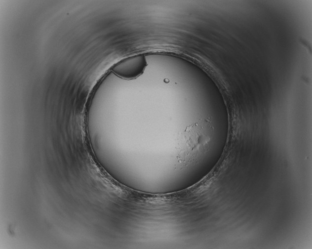 X0000103411182200809261636