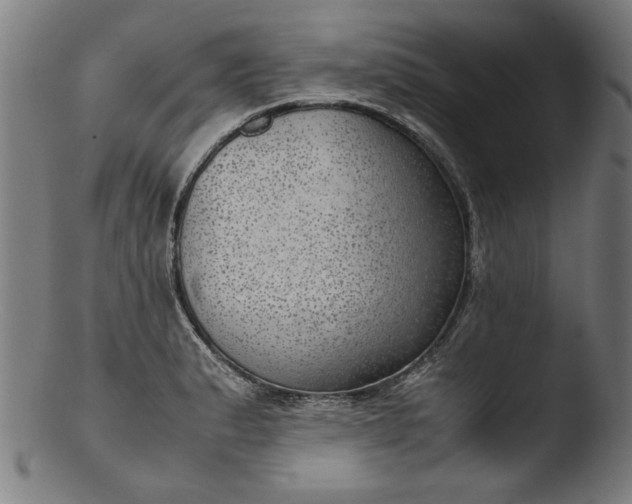 X0000103411183200809261636