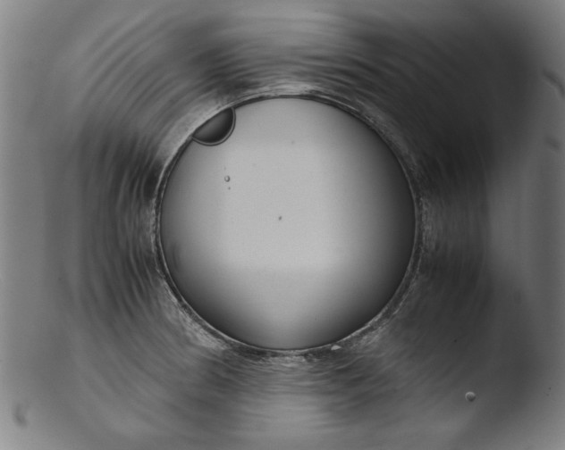 X0000103411186200809261636