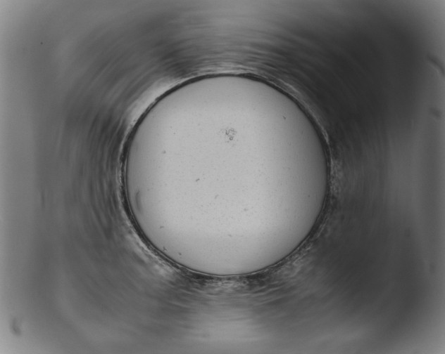 X0000103411187200809261636