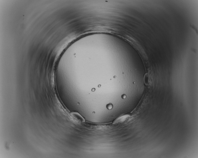 X0000103411188200809261636