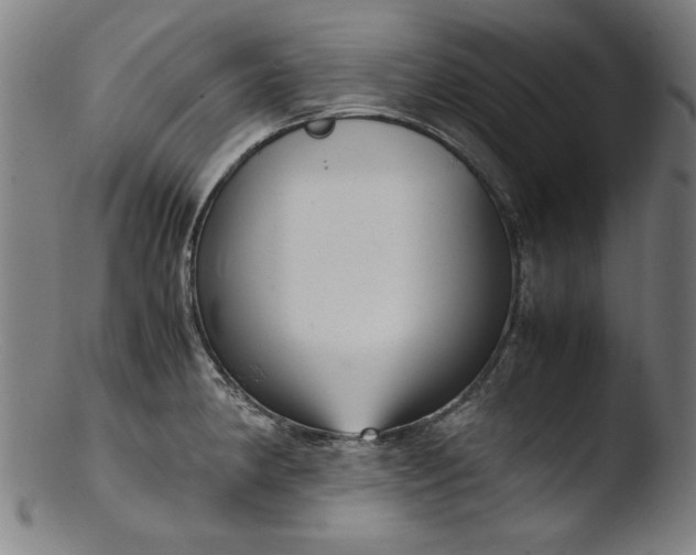 X0000103411190200809261636