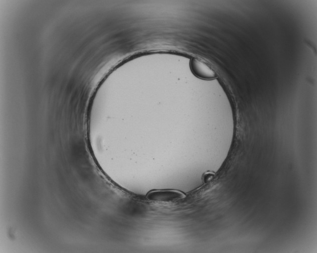 X0000103411191200809261636