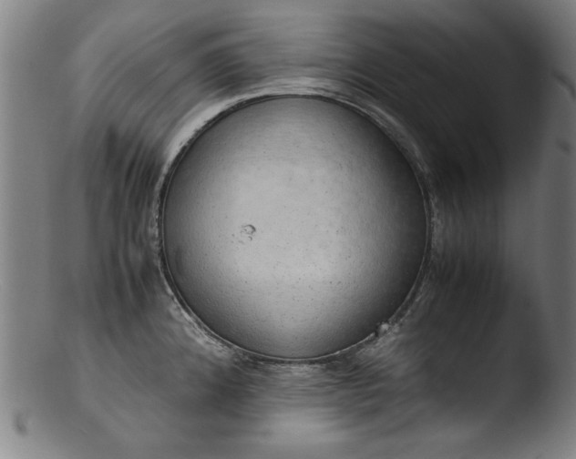 X0000103411192200809261636