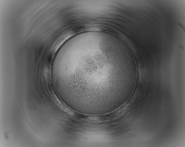 X0000103411194200809261636