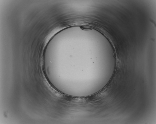 X0000103411195200809261636