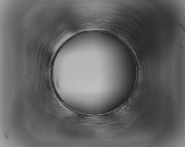 X0000103411197200809261636