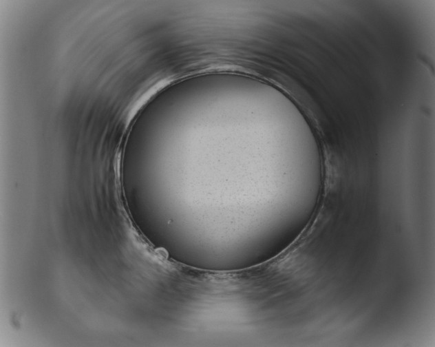 X0000103411198200809261636