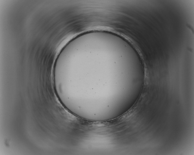 X0000103411199200809261636