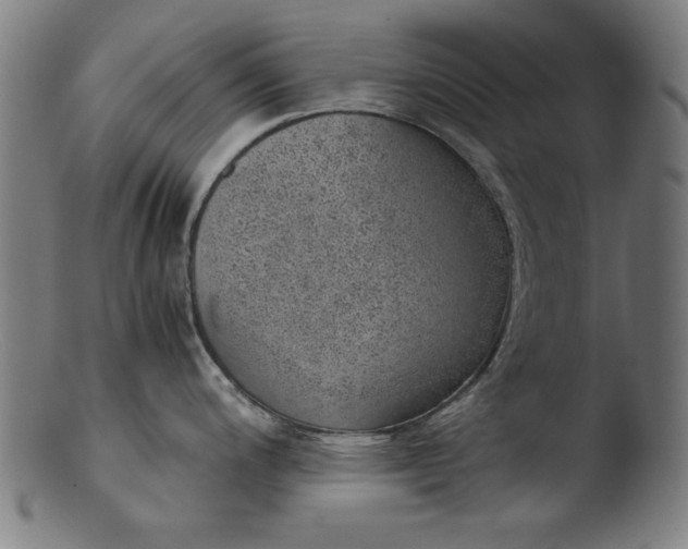 X0000103411200200809261636