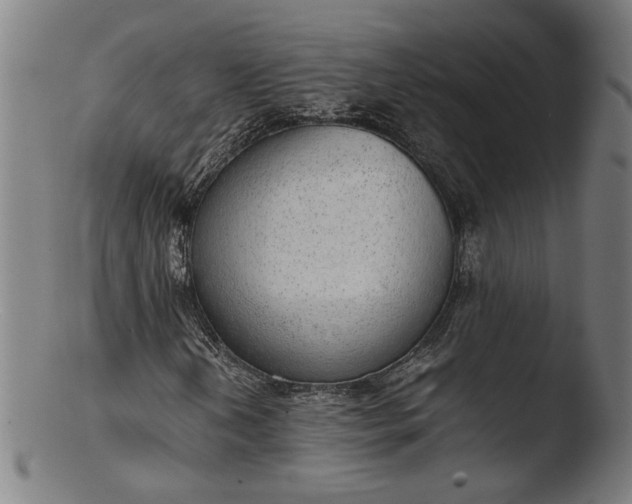 X0000103411202200809261635